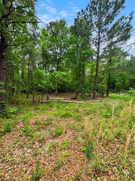 Land in Broken Bow 2
