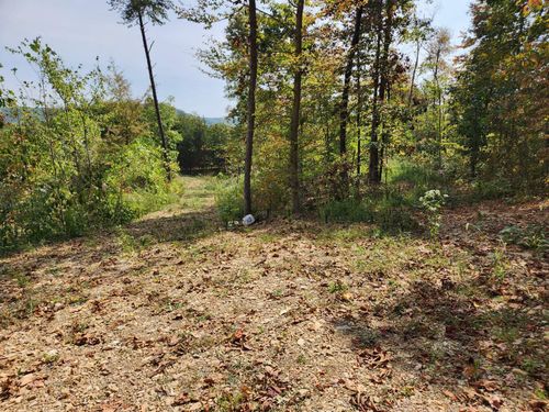 Lot #3 Routt Rd, Wallingford, KY, 41093-8755 | Card Image
