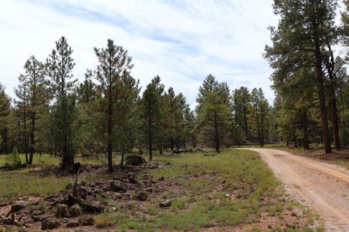 lot-44-Lot 44 Rhyolite Road, Grants, NM, 87020 | Card Image