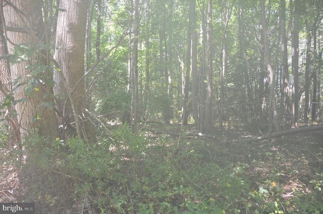Lot 23 Prentice Point Dr, Home with 0 bedrooms, 0 bathrooms and null parking in KILMARNOCK VA | Image 4