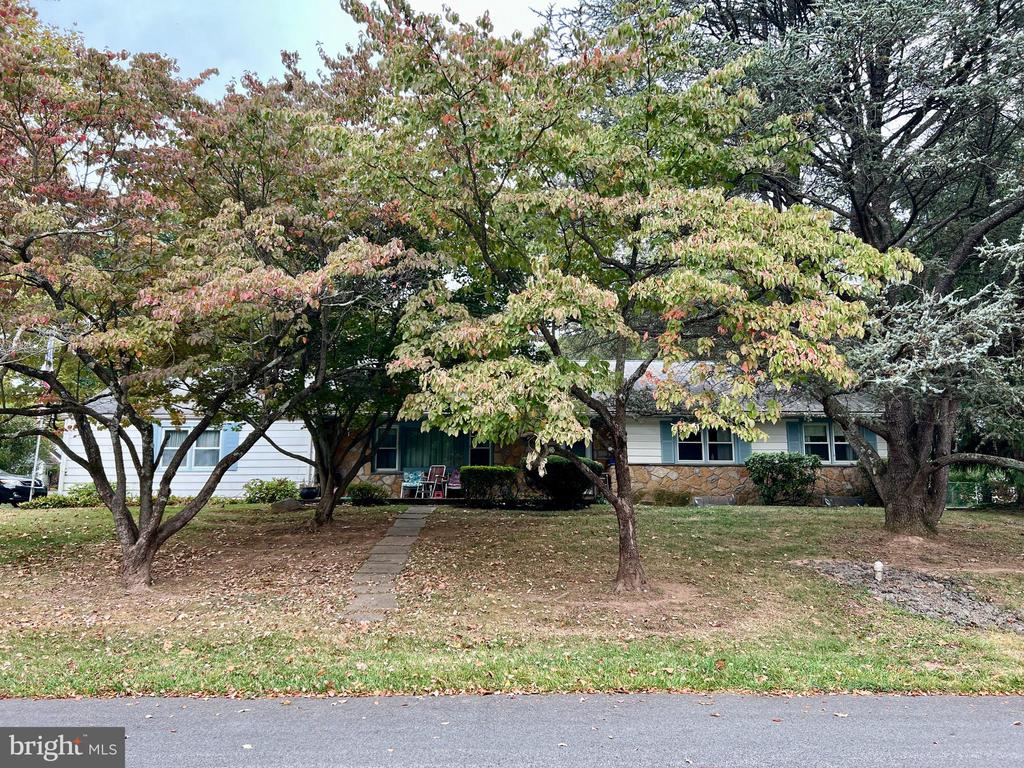 Kleyona Ave, Phoenixville, PA 19460