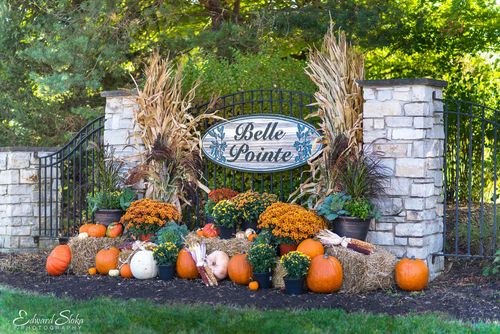 9604 Emily Ln, Union, IL, 60180-9656 | Card Image