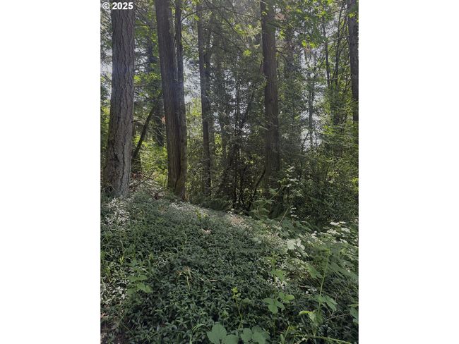 1278 Sw 27 Th Ct, Home with 0 bedrooms, 0 bathrooms and null parking in Gresham OR | Image 4