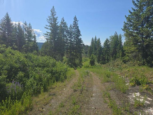 3715 Hill Loop Rd, Home with 0 bedrooms, 0 bathrooms and null parking in Kettle Falls WA | Image 17