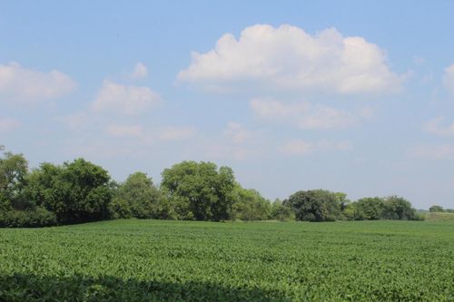 Lt1 Country Road E, Genesee, WI, 53153 | Card Image