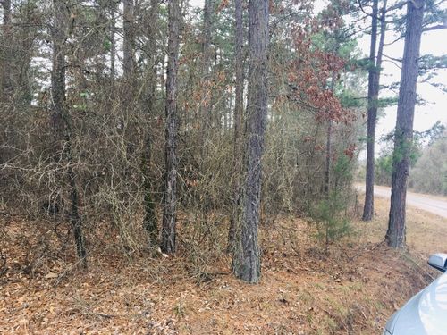 95 Eagles Nest, Cr 1788, London, AR, 72847 | Card Image