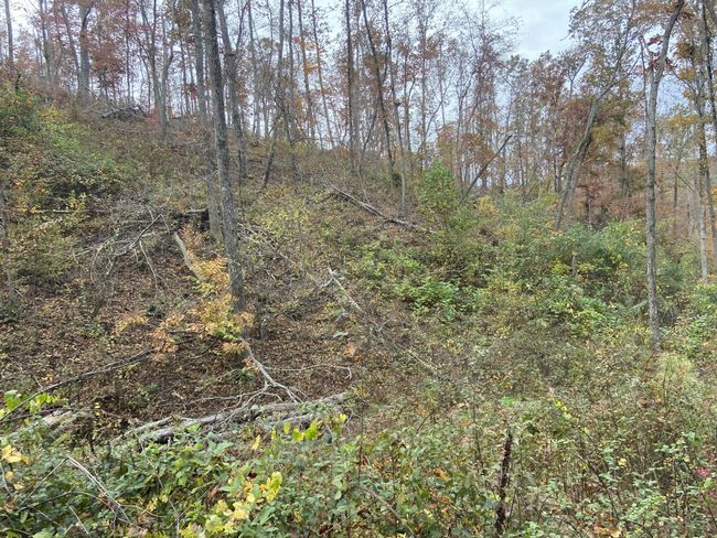 0 Mc Cord Hollow Rd, Home with 0 bedrooms, 0 bathrooms and null parking in Hohenwald TN | Image 27