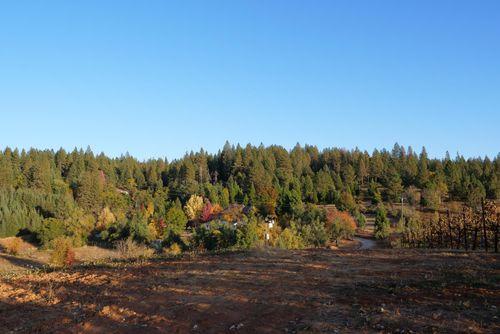 2635 Cleese Rd, Camino, CA, 95709-9364 | Card Image