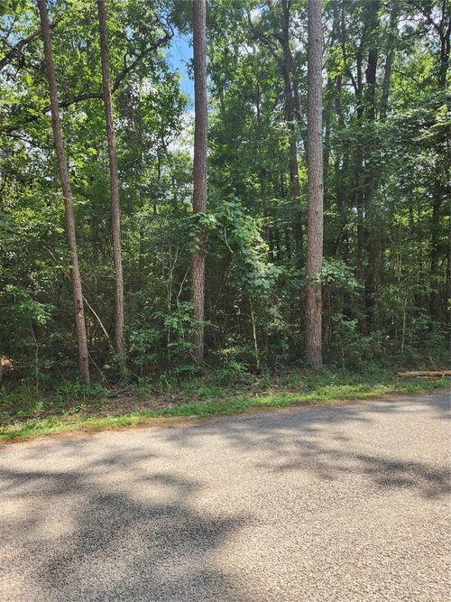 TBD County Road 373, Splendora, TX, 77372 | Card Image
