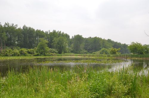 4500 S 42nd St, Climax, MI, 49034 | Card Image