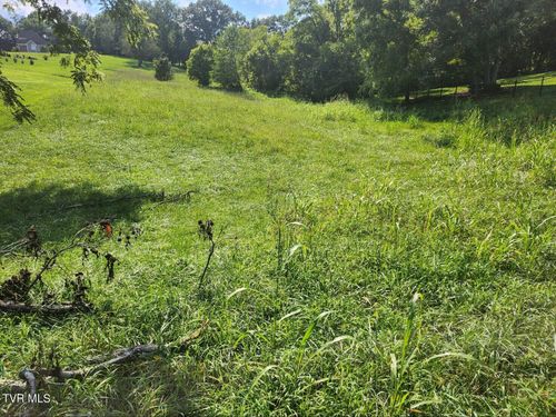 203 Oxbow Ave, Unicoi, TN, 37692 | Card Image