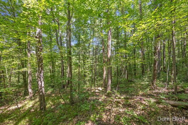2187 Shawnee Trl, Home with 0 bedrooms, 0 bathrooms and null parking in Stanton MI | Image 20