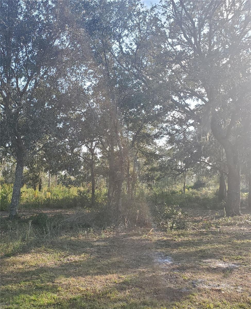 Land in INDIAN LAKE ESTATES