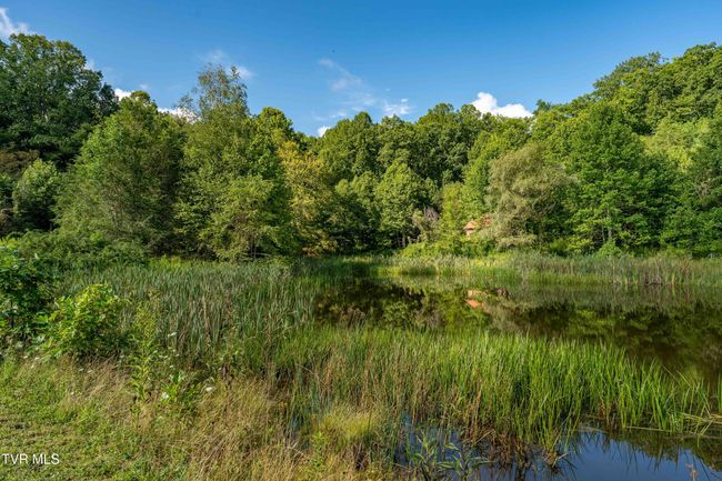 306 Bear Branch Rd, Home with 0 bedrooms, 0 bathrooms and null parking in Roan Mountain TN | Image 53