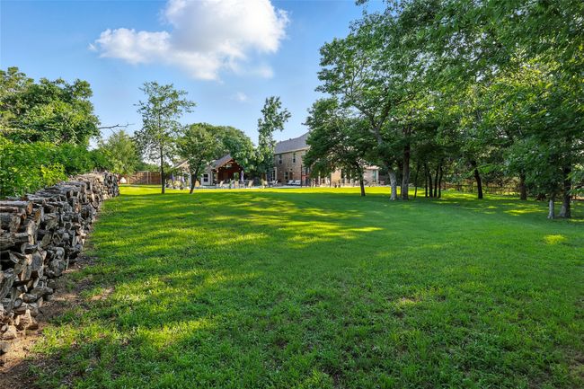 View of green lawn | Image 33