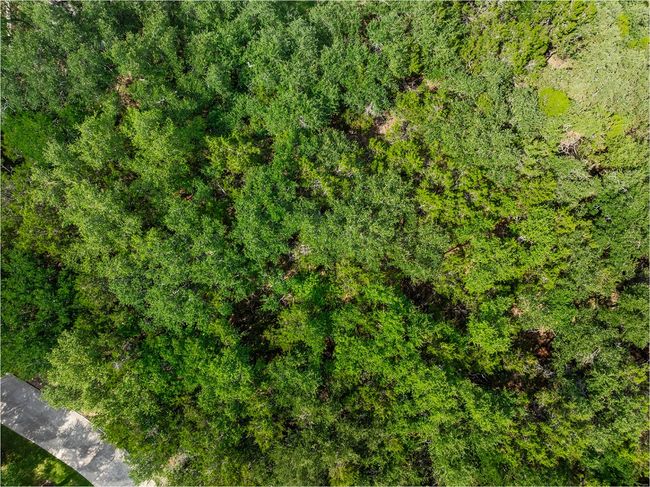 Aerial view | Image 26
