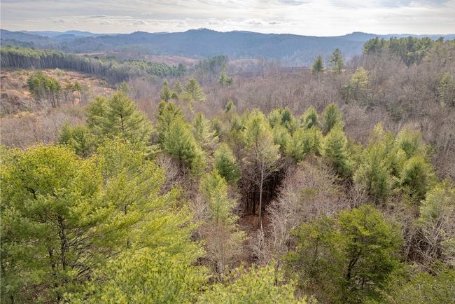 000 Miriam Road, Home with 0 bedrooms, 0 bathrooms and null parking in Dugspur VA | Image 31