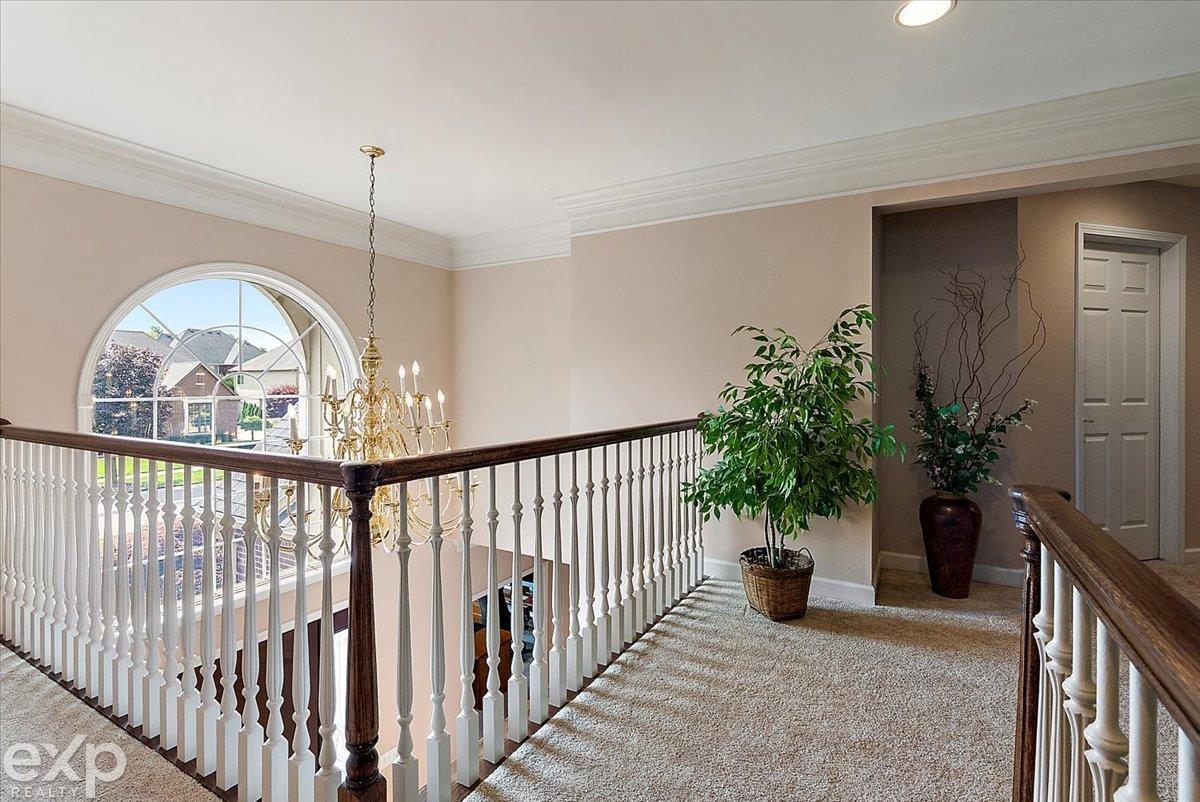 Residential in Shelby Charter Township 4