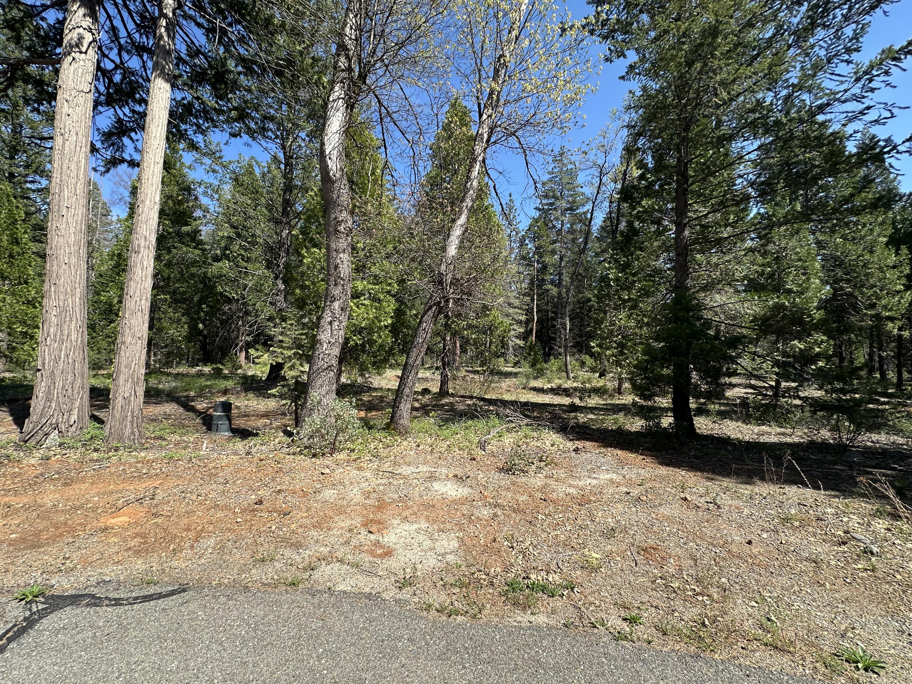 Land in Shingletown 5
