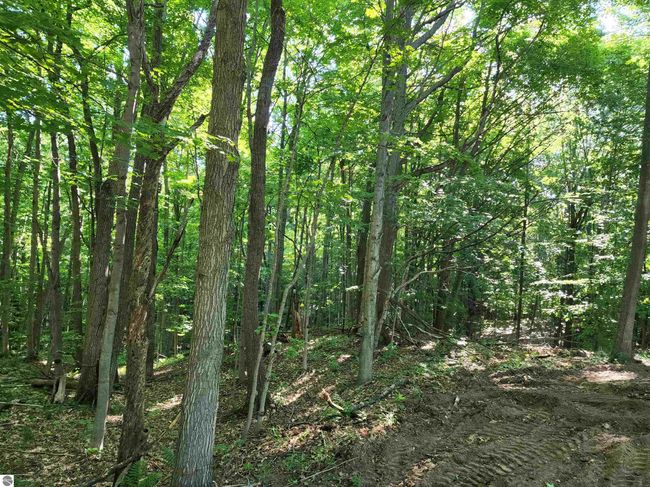 103 Adams Rd, Home with 0 bedrooms, 0 bathrooms and null parking in Frankfort MI | Image 20