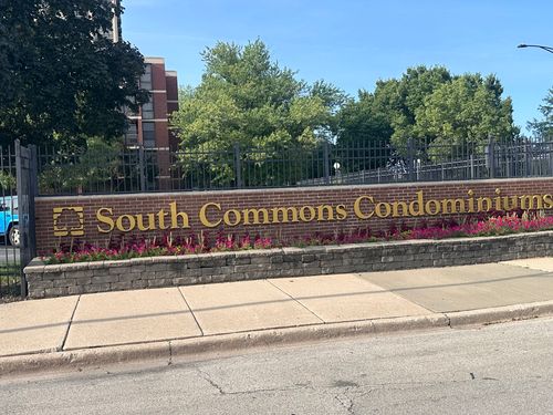 unit-311-3021 S Michigan Ave, Chicago, IL, 60616-3168 | Card Image