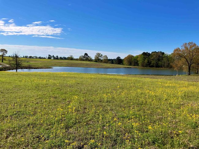 Lot 49 White Oak Creek Ranch, Home with 0 bedrooms, 0 bathrooms and null parking in Big Sandy TX | Image 7