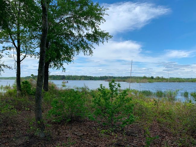 3200 Shadow Pine Dr, Home with 0 bedrooms, 0 bathrooms and null parking in LaRue TX | Image 13