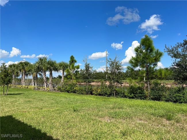 View of yard | Image 33