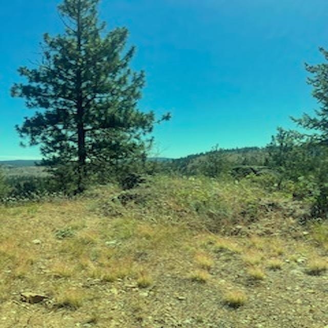 Land in Davenport 3
