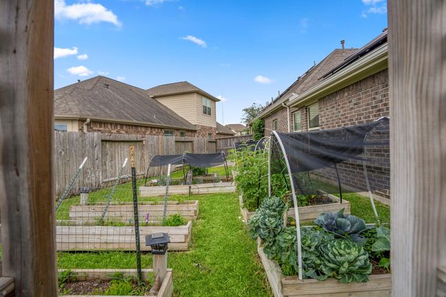 Fabulous organic garden | Image 32