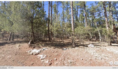 110 Bradshaw Dr, Pine, AZ, 85544 | Card Image