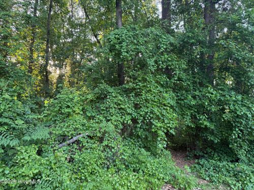 Lot 6 Boyd Park Dr, Greenville, NC, 27858 | Card Image