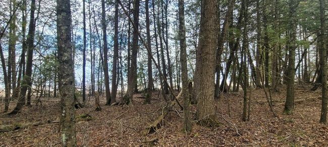 Lt0 E State Highway M35, Home with 0 bedrooms, 0 bathrooms and null parking in INGALLSTON MI | Image 16