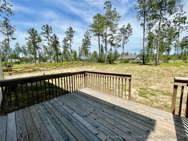 733 Gridiron Way, House other with 3 bedrooms, 3 bathrooms and null parking in Cameron NC | Image 22