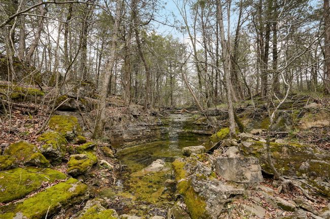 Fossil Cove Rd-59 | Image 58