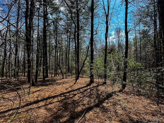 41.18 Acres (Off Of) Pole Bridge Rd, Home with 0 bedrooms, 0 bathrooms and null parking in Stuart VA | Image 24