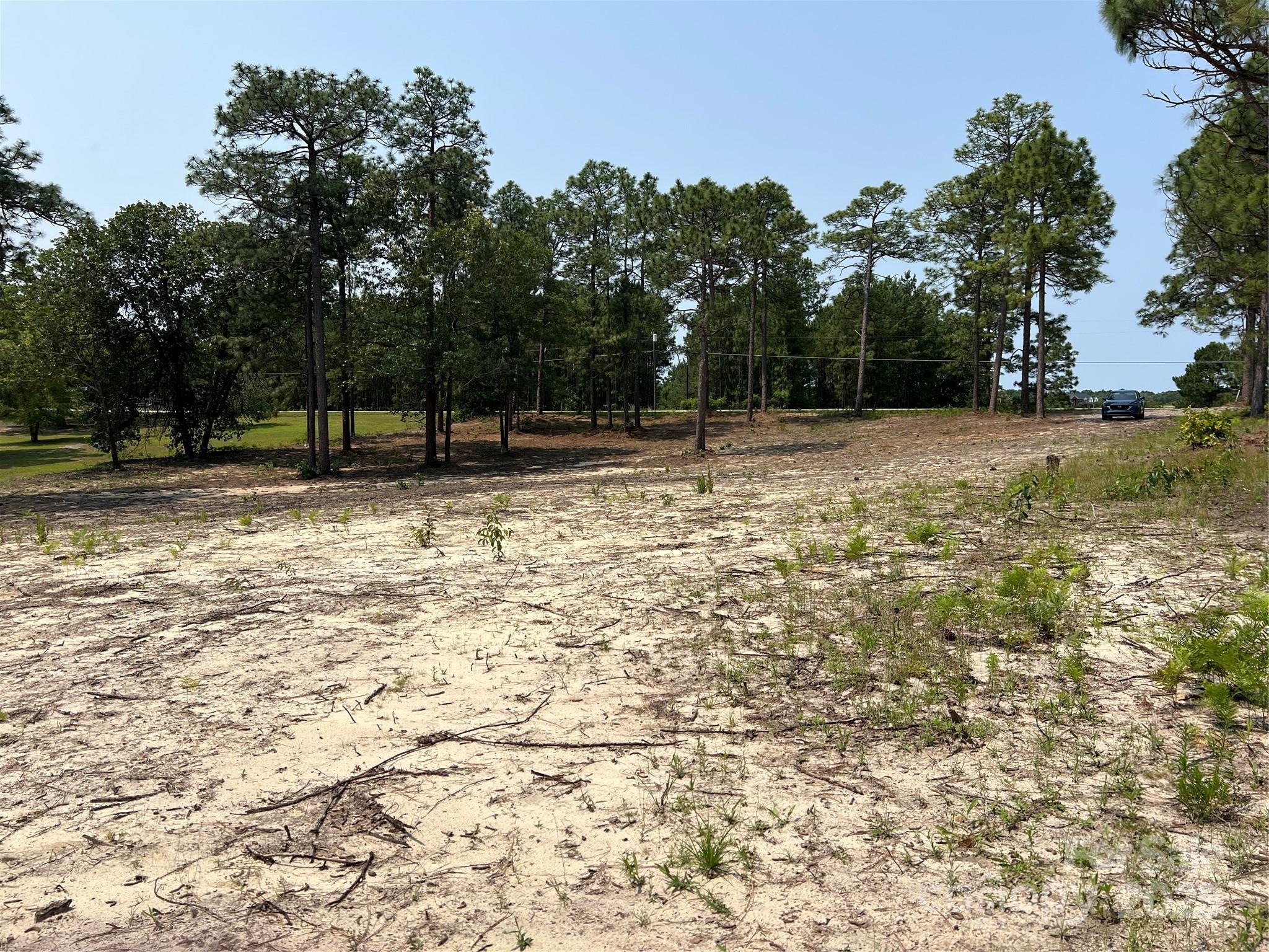 Land in Hartsville 4