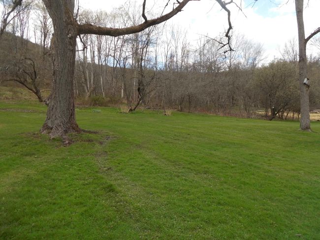 Yard | Image 9