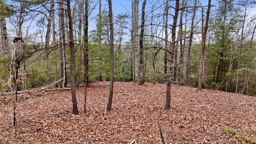235 Eureka Road, Zoe, KY, 41397 | Card Image