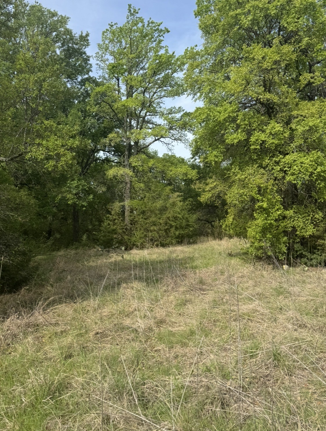 Land in Weatherford 4