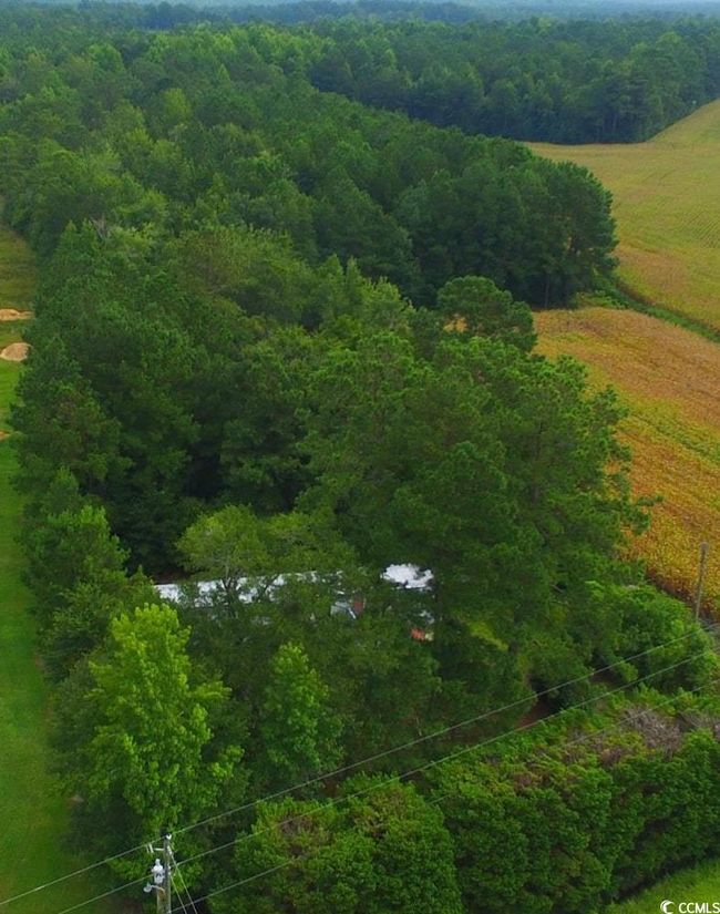 View of rural area with a forest | Image 5