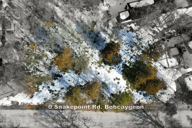 0 Snake Point Rd, Home with 0 bedrooms, 0 bathrooms and null parking in Bobcaygeon ON | Image 9
