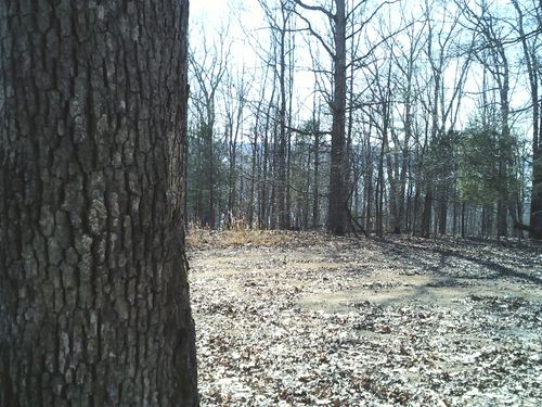 0 Eaglet Ct, Dover, TN, 37058 | Card Image
