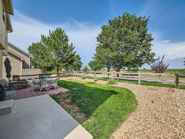50 Backyard.jpg | Image 27