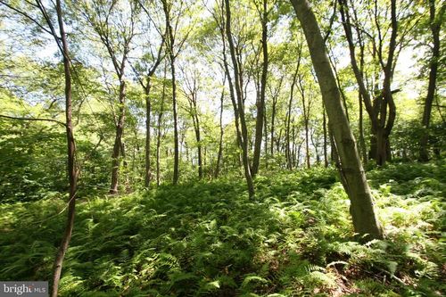 000 Leidig Rd, THREE SPRINGS, PA, 17264 | Card Image