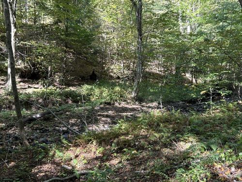 Lot 2 Possum Hollow Rd, Terra Alta, WV, 26764 | Card Image