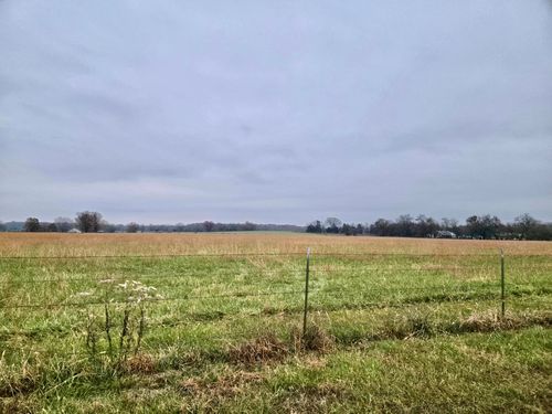 000 County Line Rd, Preston, MO, 65732 | Card Image