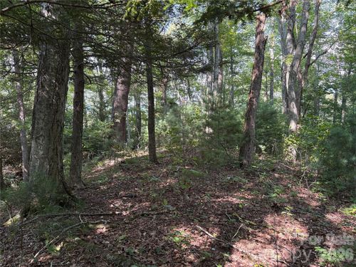 98-00 Early Frost Place, Waynesville, NC, 28785 | Card Image