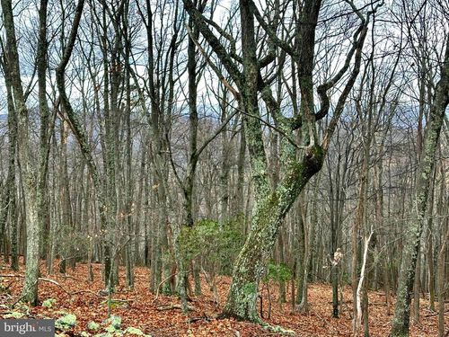 Lot 32 Boonedock Dr, UPPER TRACT, WV, 26866 | Card Image