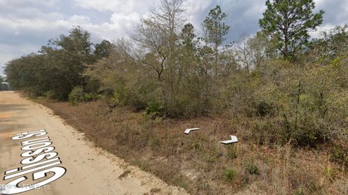 00 Glisson St, INTERLACHEN, FL, 32148 | Card Image